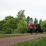 Elbe-Brcken-Lauf 04.05.2014  Foto: Stefan Wohllebe