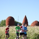 Firmenstaffel in Magdeburg 23.06.2016  Foto: Stefan Wohllebe