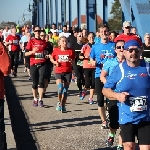 Magdeburg Marathon 19.10.2014  Foto: Stefan Wohllebe