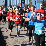 Magdeburg Marathon 19.10.2014  Foto: Stefan Wohllebe