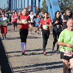 Magdeburg Marathon 19.10.2014  Foto: Stefan Wohllebe