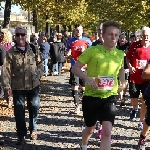 Magdeburg Marathon 19.10.2014  Foto: Stefan Wohllebe