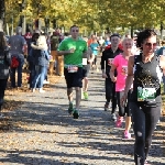 Magdeburg Marathon 19.10.2014  Foto: Stefan Wohllebe