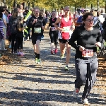 Magdeburg Marathon 19.10.2014  Foto: Stefan Wohllebe