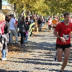 Magdeburg Marathon 19.10.2014  Foto: Stefan Wohllebe