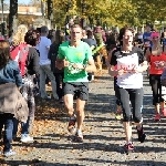 Magdeburg Marathon 19.10.2014  Foto: Stefan Wohllebe