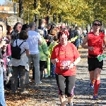 Magdeburg Marathon 19.10.2014  Foto: Stefan Wohllebe