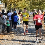 Magdeburg Marathon 19.10.2014  Foto: Stefan Wohllebe