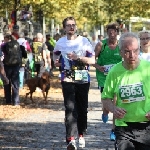 Magdeburg Marathon 19.10.2014  Foto: Stefan Wohllebe