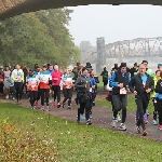 Magdeburg Marathon 23.10.2016  Foto: Stefan Wohllebe - LAUFmit.de