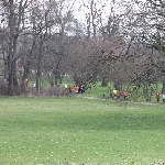 Osterlauf der MLK 08 in Magdeburg 26.03.2016  Foto: Stefan Wohllebe