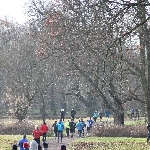 Silvesterlauf in Magdeburg 31.12.2015  Foto: Stefan Wohllebe